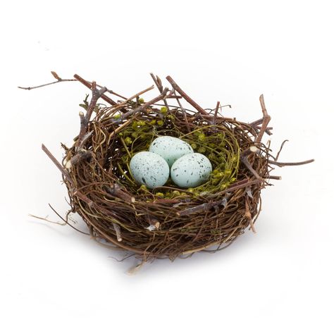 PRICES MAY VARY. DECORATE WITH A TOUCH OF LASTING NATURE: Decorative bird's nest complete with eggs SEASONAL DECOR: Add to a wreath or Easter basket, or include as part of a table centerpiece for Spring decor ARTS AND CRAFTS: Great accessory or embellishment for the crafters and artists for use in projects REALISTIC DESIGN: Faux twigs and eggs create a life-like look DIMENSIONS: Measures approximately 6.5 inches in diameter x 3 inches tall Faux twigs and colorful eggs combine to form this convin Easter Birds Nest, Bird Nest Craft, Nest Art, Bird Nests, Egg Nest, Speckled Eggs, Blue Eggs, Bird Eggs, Quail Eggs