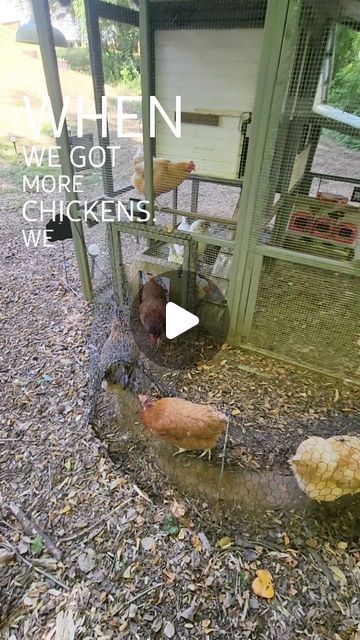 Chicken Coop And Run Ideas, Chicken Tunnel, Chicken Tunnels, Changes Are Coming, Coming Soon Stay Tuned, Chicken Runs, Chickens Backyard, Chicken Coop, Coop