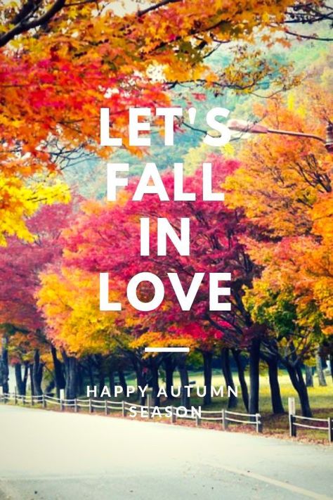 October Is My Favorite Color, October Is My Favorite, Autumn Romance, Pretty Scenery, Autumn Blessings, October Country, Autumn Breeze, My Favorite Color, Autumn Scenery