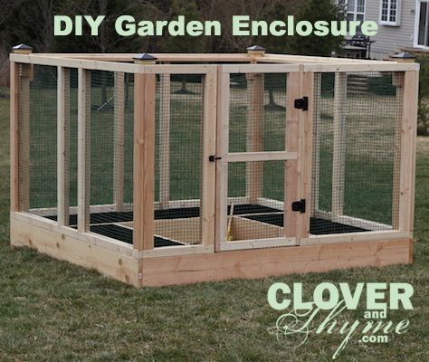 Enclosed raised bed gardens to keep out the critters.  This would be good if you have deer, bunnies, etc that are eating everything. Garden Enclosure, Raised Vegetable Gardens, Diy Garden Bed, Family Backyard, Garden Frogs, Garden Basket, Diy Raised Garden, Raised Garden Beds Diy, Have Inspiration