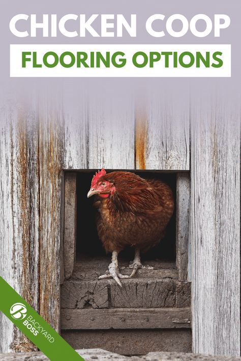 Chicken Coop Flooring, Chicken Coop Bedding, Chicken Coop Blueprints, Urban Chicken Farming, Floor Options, Backyard Coop, Easy Chicken Coop, Chicken Shed, Clean Chicken