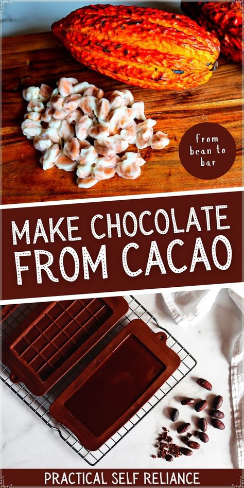 How to Make Chocolate From Cacao Beans: Fermented Foods for Gut Health - Ever wonder how chocolate is made or how to make chocolate from scratch!? From bean to bar chocolate, learn all about fermenting cacao beans with this homemade chocolate bars recipe. Using a fresh cacao pod or cacao nibs, process cacao into chocolate! Chocolate Bars Recipe, Chocolate From Scratch, Cacao Nibs Recipes, Cacao Pod, Bean To Bar Chocolate, Cacao Fruit, Chocolate Bar Recipe, Cacao Recipes, Homemade Chocolate Bars