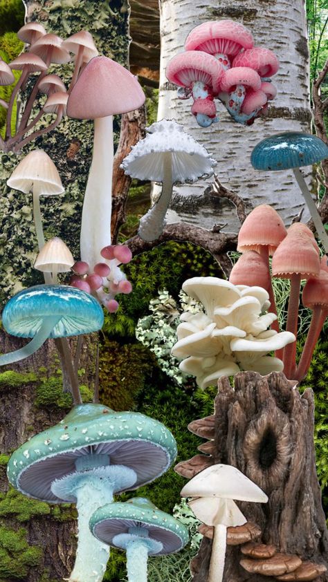 Gremlincore Aesthetic, Dangerous Plants, Mushroom Field, Mushroom Cluster, Shuffle Cutouts, Mushroom Guide, Mushroom Painting, Mushroom Spores, Mushroom Grow Kit