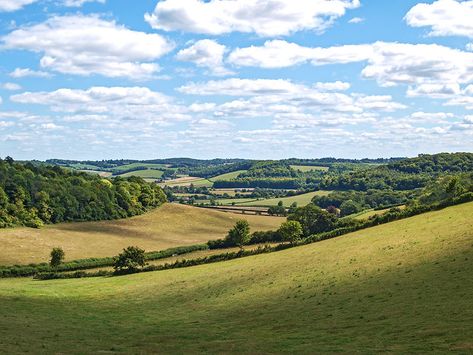 The lush, bucolic landscape of the Chiltern Hills, Bucking… | Flickr Chiltern Hills, Visual Moodboard, A Room Of Ones Own, Painting The Sky, Modelling Ideas, Collage Pics, Night Film, Endless Night, Moving To The Uk