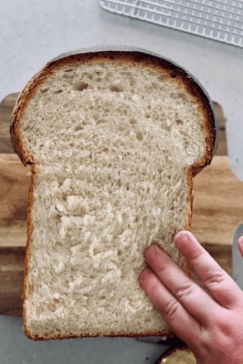 Sourdough Discard Sandwich Bread Recipe, Sourdough Variations, Sourdough Discard Sandwich Bread, Discard Sandwich Bread, Sourdough Discard Bread, Discard Bread, The Pantry Mama, Pantry Mama, Sourdough Starters