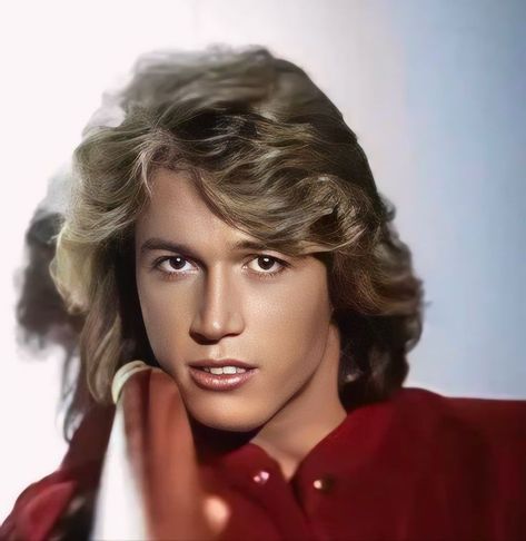 Andy Gibb, Barry Gibb, Bee Gees, Mens Hairstyles, Bee, Celebrities, Hair, Anime, Gold