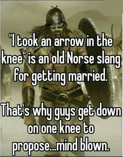 Mind Blown. Viking Quotes, Old Norse, Warrior Quotes, The More You Know, Mind Blown, Getting Married, Vikings, Fun Facts, Snapchat