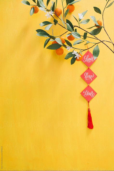 Tet Holiday Background, Lunar New Year Background, Vietnamese Cafe, Happy Vietnamese New Year, Lunar New Year Greetings, Chinese New Year Wallpaper, Tet Decoration, Chinese New Year Festival, Oranges Fruit