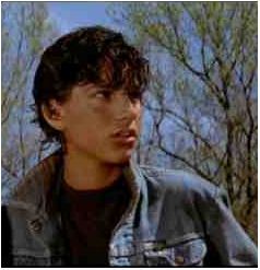 Ralph Macchio  Outsiders.  Karate Kid.  I'm not ashamed to admit. Ponyboy And Johnny Matching Pfp, Johnny Cade The Outsiders, The Outsiders Johnny, Outsiders Ponyboy, Ralph Macchio The Outsiders, Cobra Kia, Breakfast Club Movie, Outsiders Cast, Johnny Cade