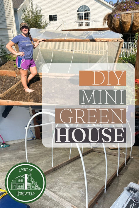 Follow along as we build our own DIY Mini Greenhouse. We'll show you what we did so you can do it too! #greenhouse #suburbanhomesteading Diy Simple Greenhouse, Diy Easy Greenhouse, Pop Up Greenhouse Ideas, Greenhouse Tables Diy, Do It Yourself Greenhouse, Building A Greenhouse Diy, Green House Ideas Diy Cheap, How To Build A Greenhouse, Small Greenhouse Diy