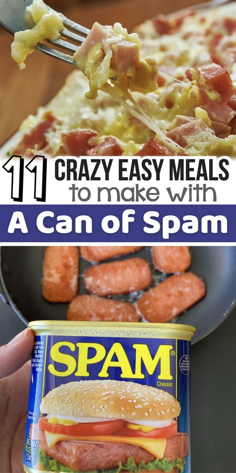 11 Crazy Easy Meals To Make With A Can of Spam How To Cook Spam, Canned Beef Recipe, Spam Recipes Dinners, Easy Meals To Make, Spam Recipes, Meals To Make, Cheap Easy Meals, Canned Meat, Ground Beef Recipes For Dinner