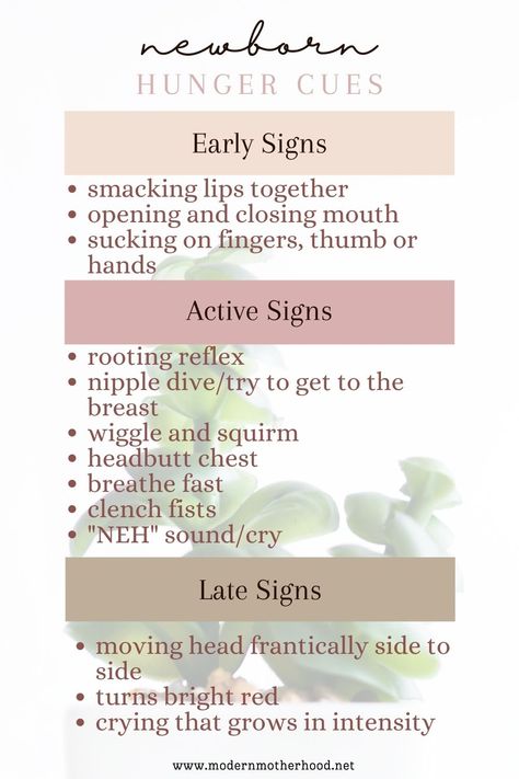 Newborns have a variety of hunger cues that indicate they are ready to eat. Some of the most common hunger cues include: Rooting reflex: When a baby is hungry, they may turn their head and open- Hunger Cues Baby Newborns, Baby Hunger Cues, Newborn Cues, Hunger Cues, Nanny Life, Eat More Chicken, First Time Parents, Bloom Baby, Baby Advice