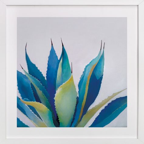 Blue Agave by Amanda Phelps at minted.com Watercolor Therapy, Succulent Paintings, Foliage Painting, Plants Painting, Nature Art Prints, Blue Agave, Custom Art Print, Agaves, Plant Pictures