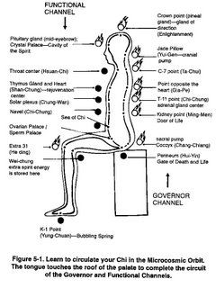 Microcosmic Orbit, Internal Alchemy, Abelardo Morell, Mantak Chia, Dim Mak, Polarity Therapy, Asian Medicine, Tai Chi Qigong, Pranic Healing