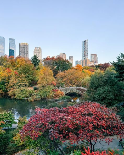 Sunrise in Central Park, the autumn colours and falling leaves 🥹🍂🌳✨ #leicaq2 #nyc #autumncolours Central Park Autumn, Central Park Summer, Central Park Aesthetic, Park Aesthetic, Autumn Colours, Falling Leaves, 2025 Vision, Dream Board, Life Is Short