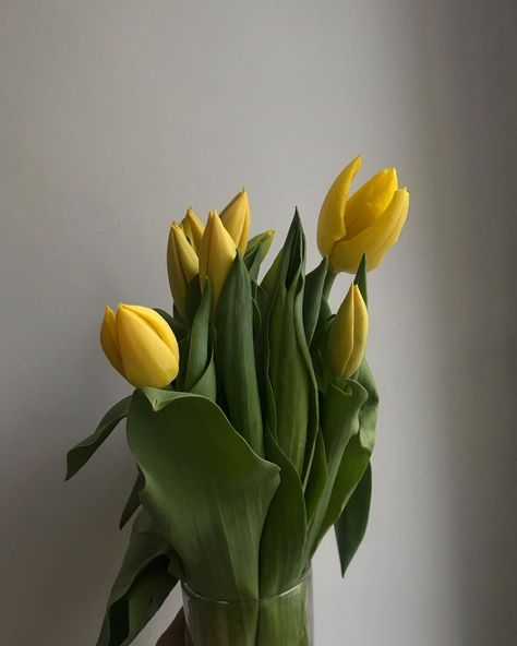 Dea on Instagram: “good for the soul.” Yellow Tulips Aesthetic, Tulips Vase, Room Inspo Aesthetic, Bouquet Luxury, Tulips Aesthetic, Artificial Tulips, Flowers Tulips, Tulip Bouquet, Artificial Flower Bouquet