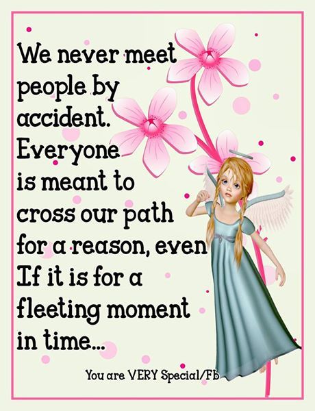 Our Path, Moment In Time, Forever Grateful, Meet People, For A Reason, Meeting People, Higher Power, Live Life, In Time