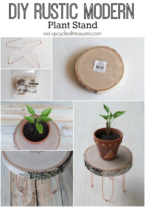 Need a creative stand to hold your plants or desk decorator to hold picture frames, etc? Check out how easy it is to create this DIY Rustic Modern Plant Stand with copper legs. Small Plant Stand, Support Pour Plante, Diy Decoracion, Modern Plant Stand, Dekor Diy, Wood Plant Stand, Diy Plant Stand, Diy Simple, Diy House Projects