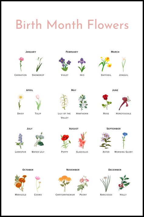 All 24 Birth Flowers & Their Meanings - Luly Bloom Flower Of Month Births, Flowers For Months Of The Year, Birth Flower Meanings, Different Flowers And Their Meanings, Flower Of December, Flowers Facts, Birth Flower March, Flowers With Meaning, Flower For July