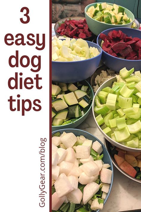 Homemade Weight Management Dog Food, Dog Losing Weight Tips, Dog Diet Plan, Longevity Diet, Corgi Puppies, Doggie Treats, Animal Food, Frog Pictures, Dog Business