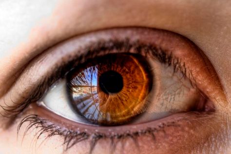 20 Great Close-up Photos of Eyes Eye Twitching, Amber Eyes, Photos Of Eyes, Eye Exam, Eye Photography, Human Eye, Dry Eyes, Smokey Eye Makeup, Galveston