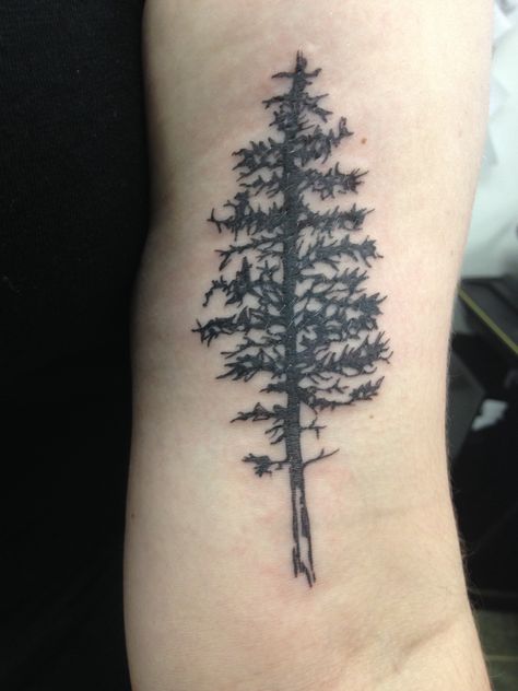 My pine tree tattoo in memory of my brother. Sequoia Tattoo, Tattoos On Back Of Arm, Cedar Tattoo, Cedar Tree Tattoo, Tree Tatoos, Chimera Tattoo, Redwood Tree Tattoo, Tattoo On Back Of Arm, Name Tattoos On Back