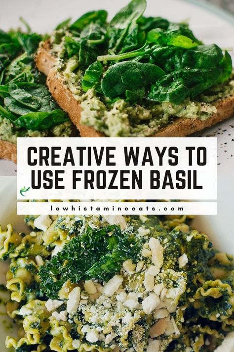 Unlock the potential of frozen basil with 27 creative ways to elevate your dishes! From savory meals to sweet treats, discover the versatility of using frozen basil. Explore new culinary horizons and bring a burst of fresh flavor to your kitchen. Savory Meals, Basil Leaves, Pesto, Basil, Food Ideas, How To Use, Sweet Treats, Frozen