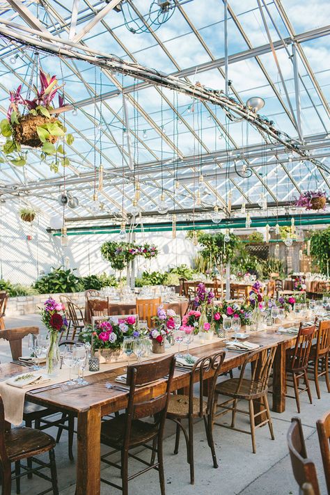 greenhouse wedding reception - photo by Lauren Fair Photography http://ruffledblog.com/rustic-elegance-at-the-horticulture-center #weddingreception #receptions Fair Photography, Greenhouse Wedding, Wedding Venue Inspiration, Outdoor Wedding Reception, Vintage Rentals, Wedding Destination, Wedding Reception Decorations, Glass House, Here Comes The Bride