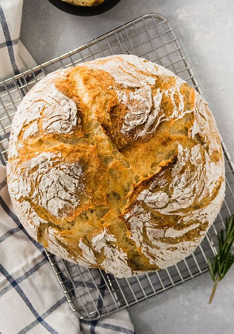 Roasted Garlic and Rosemary Crusty Bread - This quick and easy french bread is full of delicious roasted garlic and fresh rosemary. A perfect homemade side dish for a cozy dinner! Use as sandwich bread or breakfast toast. No bread machine or stand mixer necessary. Ready in less than 3 hours - no overnight rise! #crustybread #roastedgarlic Asiago Bread, Easy French Bread, Crusty Bread Recipe, Bread Roast, Rosemary Bread, Dutch Oven Bread, Artisan Bread Recipes, Cozy Dinner, Dutch Oven Recipes