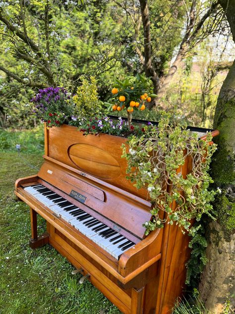 Family piano that no one wanted, so we made it into a plant pot Piano In Garden, Piano Forest, Piano Garden, Abandoned Piano, Garden Idea, Coffee Corner, Wallpapers Images, Flower Gardens, Plant Aesthetic