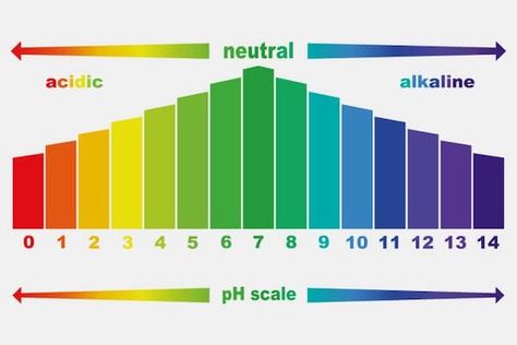 Understanding the pH Scale of Cleaning Chemicals and Why It Matters Ph Scale, Sony Led, Arc Welding Machine, High School Chemistry, Arc Welding, Garage Makeover, Beakers, Cleaning Chemicals, Commercial Cleaning