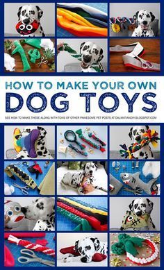 Homemade Dog Toys, Kat Diy, Dogs Diy Projects, Chien Golden Retriever, Diy Pet Toys, Diy Dog Toys, Positive Dog Training, Best Dog Toys, Dog Enrichment