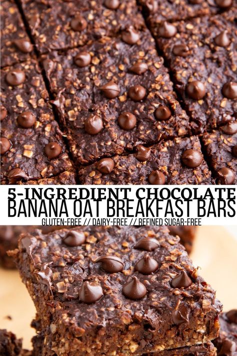 Healthy Chocolate Banana Oatmeal Breakfast Bars are healthy enough to enjoy with breakfast and delicious enough for dessert! Made with 5 basic ingredients and one bowl, this easy recipe requires zero baking experience. #vegan #chocolate #banana #oats #breakfast #oatmeal #healthy #glutenfree Banana Oats Breakfast, Banana Oatmeal Breakfast Bars, Banana Chocolate Recipes, Gluten Free Breakfast Bars, Banana Oatmeal Bars, Oatmeal Bars Healthy, Oatmeal Dessert, Oat Bar Recipes, Healthy Chocolate Banana