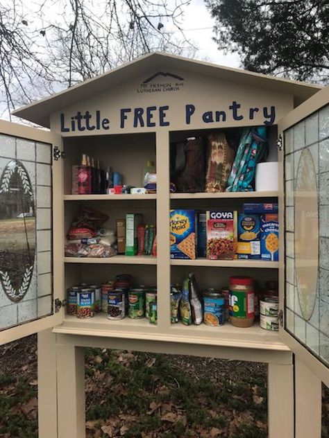 Blessing Box Food Pantry Diy, Community Pantry Ideas, Blessing Box Plans, Blessing Box Ideas, Free Food Pantry, Outdoor Pantry, Community Pantry, Blessing Boxes, Girl Scout Silver Award