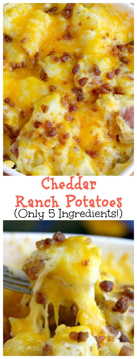 Cheddar Ranch Potatoes, Cheesy Red Potatoes, Baked Red Potatoes, Cheesy Ranch Potatoes, Red Potato Recipes, Ranch Potatoes, Potato Recipes Side Dishes, Potato Side Dishes, Cheesy Potatoes