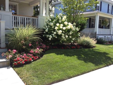 Hydrangea And Hostas Landscaping, Landscaping With Ornamental Grasses, Small House Landscaping, Easy Front Yard Landscaping Ideas, Aerial Tricks, Low Maintenance Landscape, Perfect Yard, Front Porch Landscape, Entry Garden