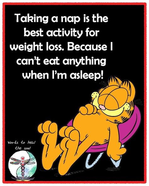 Fat Jokes Funny, Fat Jokes Funny Hilarious, Funny Diet Jokes, Diet Jokes, Funny Diet, Diet Funny, Garfield Wallpaper, Funny Kitties, Fitness Humor