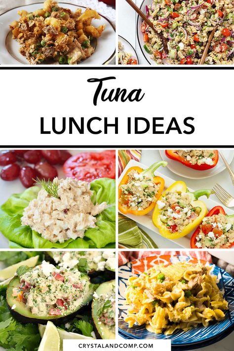 Looking for quick and tasty lunch ideas? Check out these easy recipes using tuna that are perfect for a busy day! Say goodbye to boring lunches and try out these delicious options today. Tuna Bento Lunch, Canned Tuna Lunch Ideas, Canned Tuna Lunch, Recipes Using Tuna, Tuna Snack Ideas, Tuna Lunch Ideas, Southern Tuna Salad Recipe, Tasty Lunch Ideas, Tuna Lunch