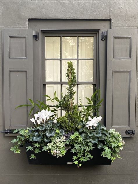 Outside Window Flower Boxes, Window Box Winter, Evergreen Window Boxes, Winter Flower Boxes, Winter Window Boxes, Rustic Front Porch, Sacred Garden, Spring Planter, Modern Easter