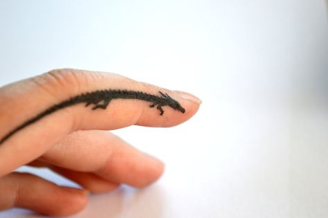 Pointing Dragon by Magnifipi.deviantart.com on @deviantART Finger Dragon Tattoo, Dragon Tattoo Finger, Dragon Tattoo On Finger, Dragon Finger Tattoo, Black Marker Drawing, Tattoo Finger, Small Dragon Tattoos, Pointing Finger, Finger Tattoo For Women