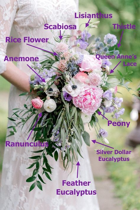 Spring Cascading Wedding Bouquets, Boho Spring Wedding Bouquets, Wildflower Cascade Bouquet, Cascading Wildflower Bouquet, Wisteria Bridal Bouquet, Cascading Wildflower Bridal Bouquet, Purple Cascading Bouquet, Spring Pallete, Wisteria Bouquet