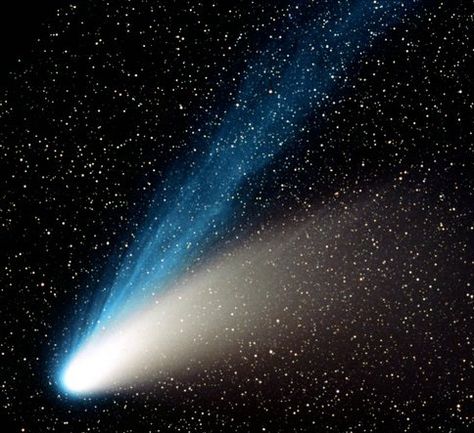 Comet Hale-Bopp - Comet Watch Comet Hale Bopp, Hale Bopp Comet, Space Things, Darcy And Elizabeth, The Great Comet, Astronomy Facts, The Comet, Earth From Space, Telescopes