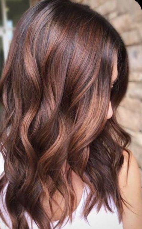 Winter Auburn Balayage, Spring Hair Color Ideas For Brunettes Straight, Soft Red Highlights In Brown Hair, Praline Hair Color, Autum Hair Colours, Cinammon Hair Colour, Hair Colour For Curly Hair, Cinnamon Hair Color, Global Hair Color