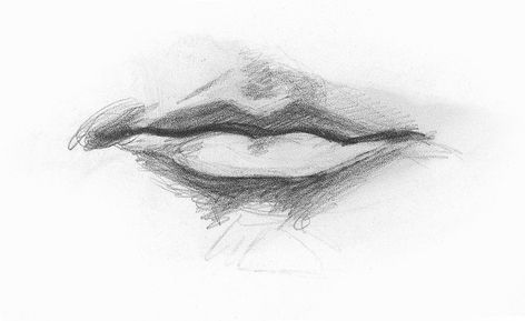 Draw Facial Features with This In-Depth Beginner’s Guide % Male Lip Drawing, Drawing Lips, Drawing Videos For Kids, Mouth Drawing, Easy Drawings For Beginners, Realistic Pencil Drawings, How To Make Drawing, Drawing Faces, 인물 드로잉