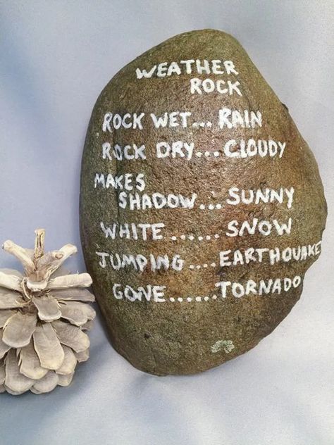 Gag Gift Ideas, Weather Rock, Funny Rock, Plant Puns, Gift Ideas For Christmas, Gag Gifts Christmas, White Elephant Gift, Ideas For Christmas, Rock Painting Designs