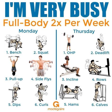 Are you very busy with your work or study schedule? Then this might help you. - Credits: @madegains Chest Workout Women, Full Body Workout Plan, Full Body Workouts, Full Body Workout Routine, Workout Splits, Planet Fitness, Trening Fitness, Body Training, Weight Training Workouts