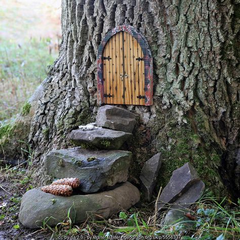 Cookie Cartoon, Faerie Door, Strawberry Wreath, Diy Fairy Door, Fairy Doors On Trees, Watermelon Outfit, Strawberry Plant, Fairy Garden Doors, Fairy Tree Houses