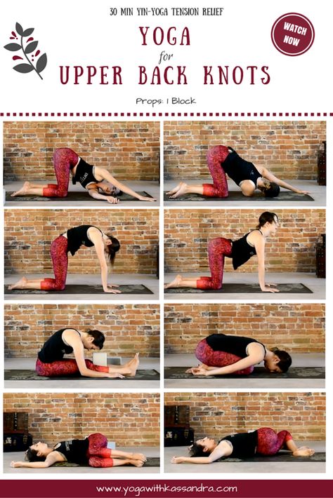 Diástase Abdominal, Jnana Yoga, Yin Yoga Poses, Yoga Ashtanga, Yoga Nature, Ashtanga Vinyasa Yoga, Best Yoga Poses, Yoga Beginners, Sup Yoga