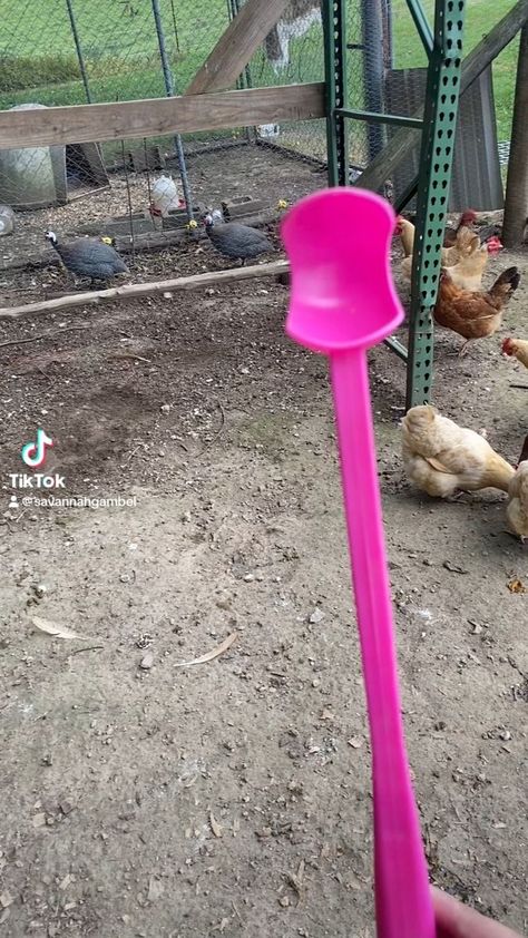 Farm Hacks, Backyard Chicken Coop Plans, Chicken Toys, Backyard Chicken Farming, Chicken Life, Raising Backyard Chickens, Chicken Coop Designs, Chicken Garden, Crazy Chicken Lady