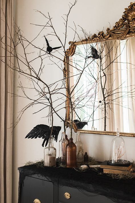 Halloween Reception, Cottage Halloween, Witch Birthday, Modern Halloween Decor, Heights House, Chic Halloween Decor, Haunted Woods, Michaels Halloween, Elegant Halloween Decor